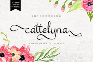 Cattelyna: The Script Font That Makes Your Campaign Feel Instantly Luxe