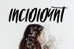 Incididunt Script Font for Small Business Branding