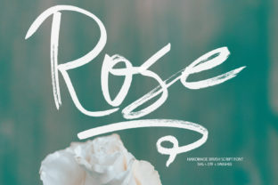 Rose: A Romantic Script Font That Elevates Campaign Messaging