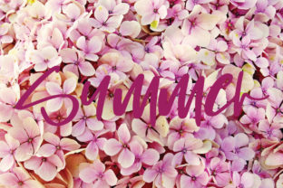 Summer: A Light, Charming Script Font for Editorial Warmth